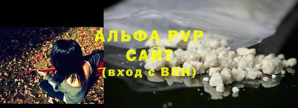 шишки Пестово