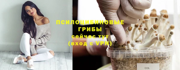 бутик Пересвет