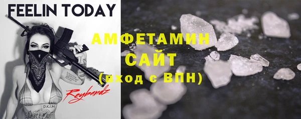 шишки Пестово