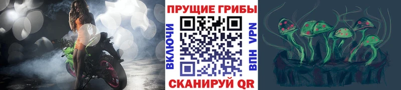 Галлюциногенные грибы мухоморы Лабинск